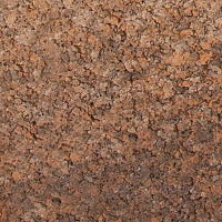 Клён